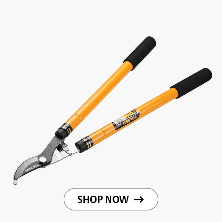 Telescopic Lopping Shears