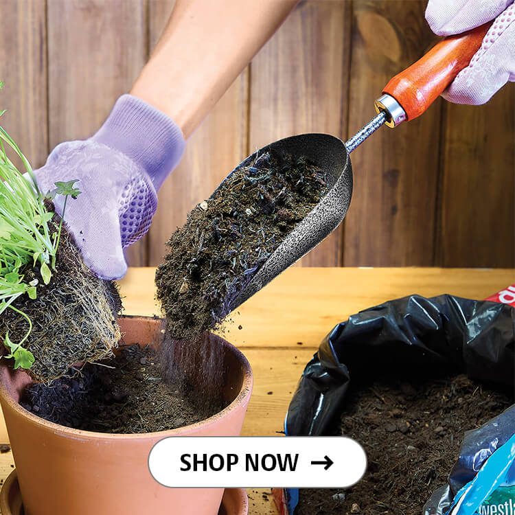 Handy Garden Scoop