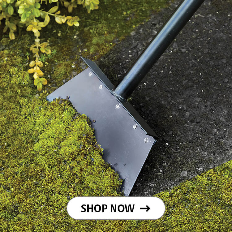 Flat Head Shovel