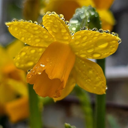Rainy Day Hacks that Keep Your Home Dry and Happy