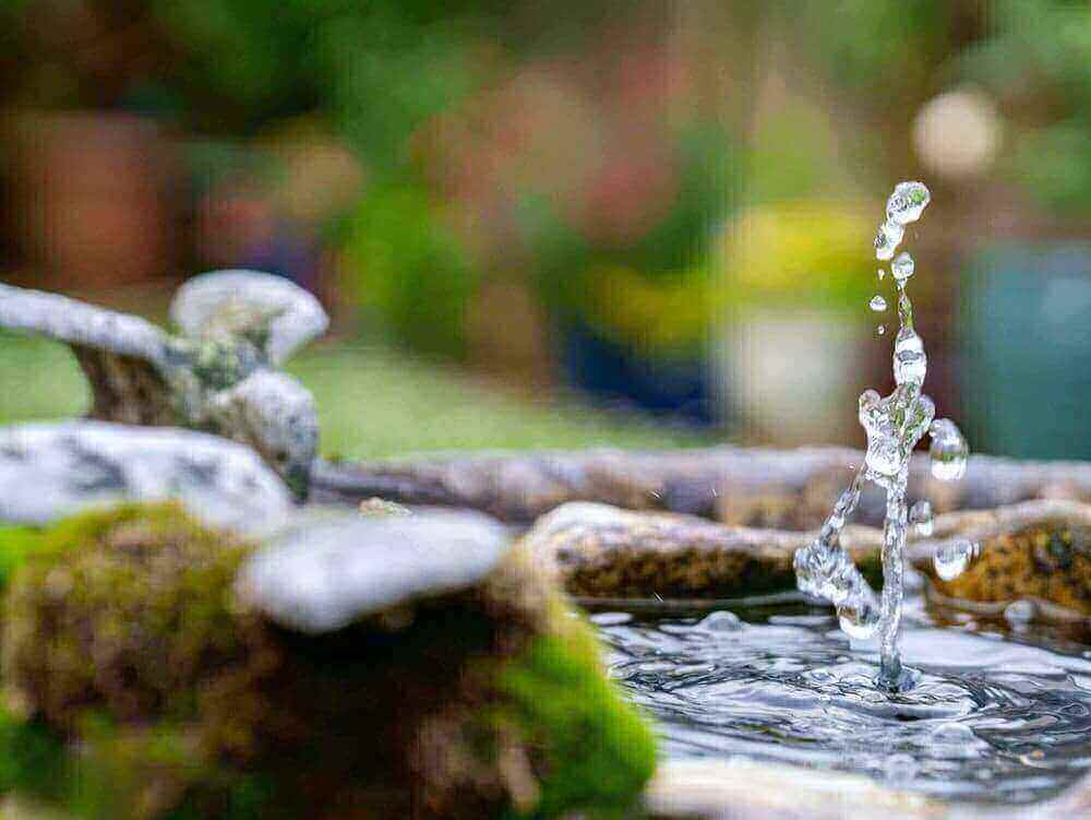 Solar water feature: a wonderful addition to your garden