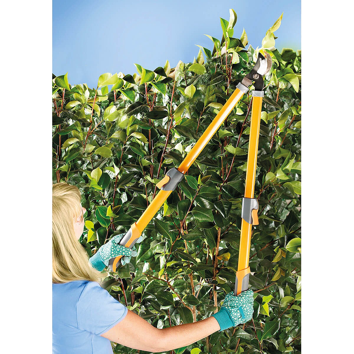 Telescopic Loppers & Secateurs Set