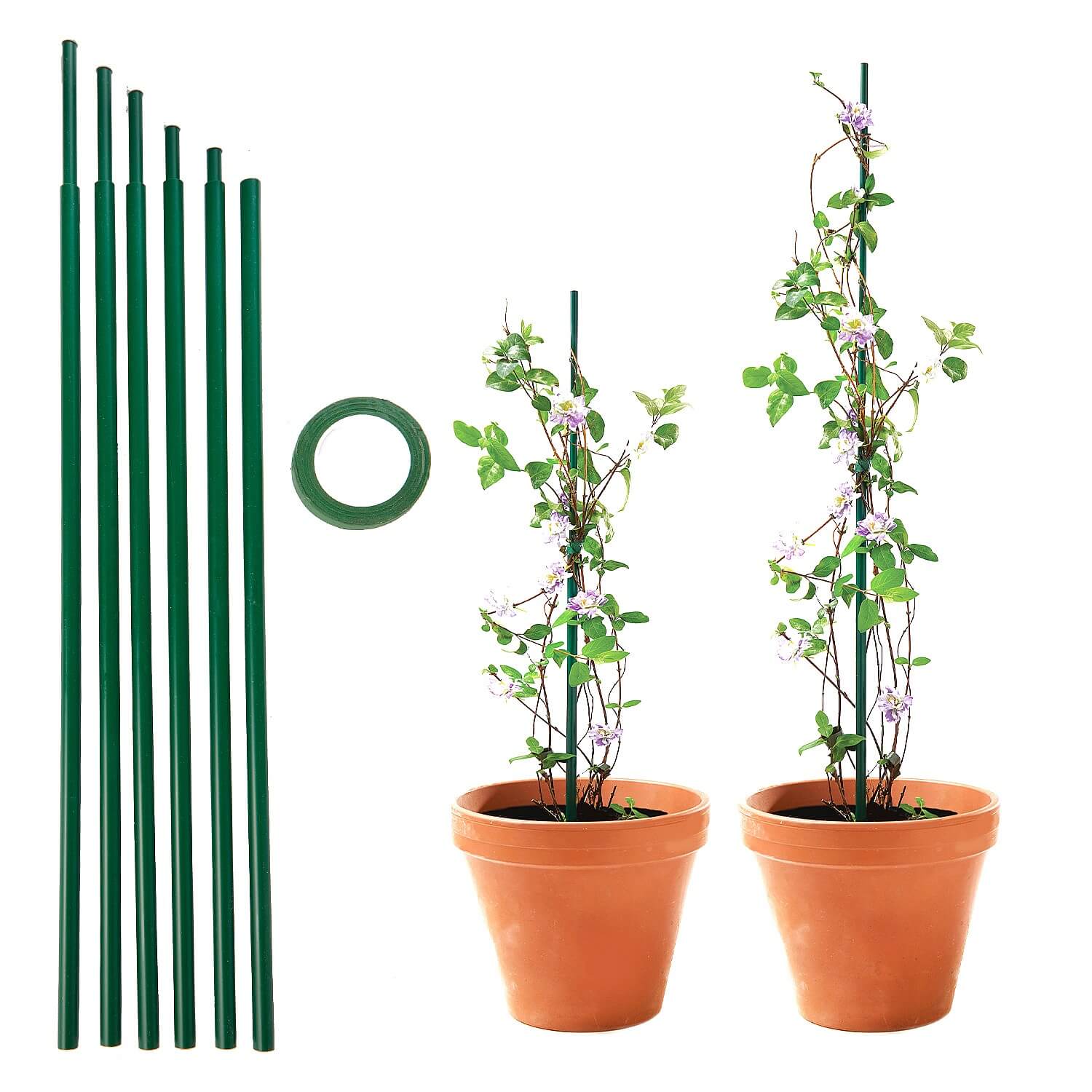 Extending Plant Supports 6 Pack