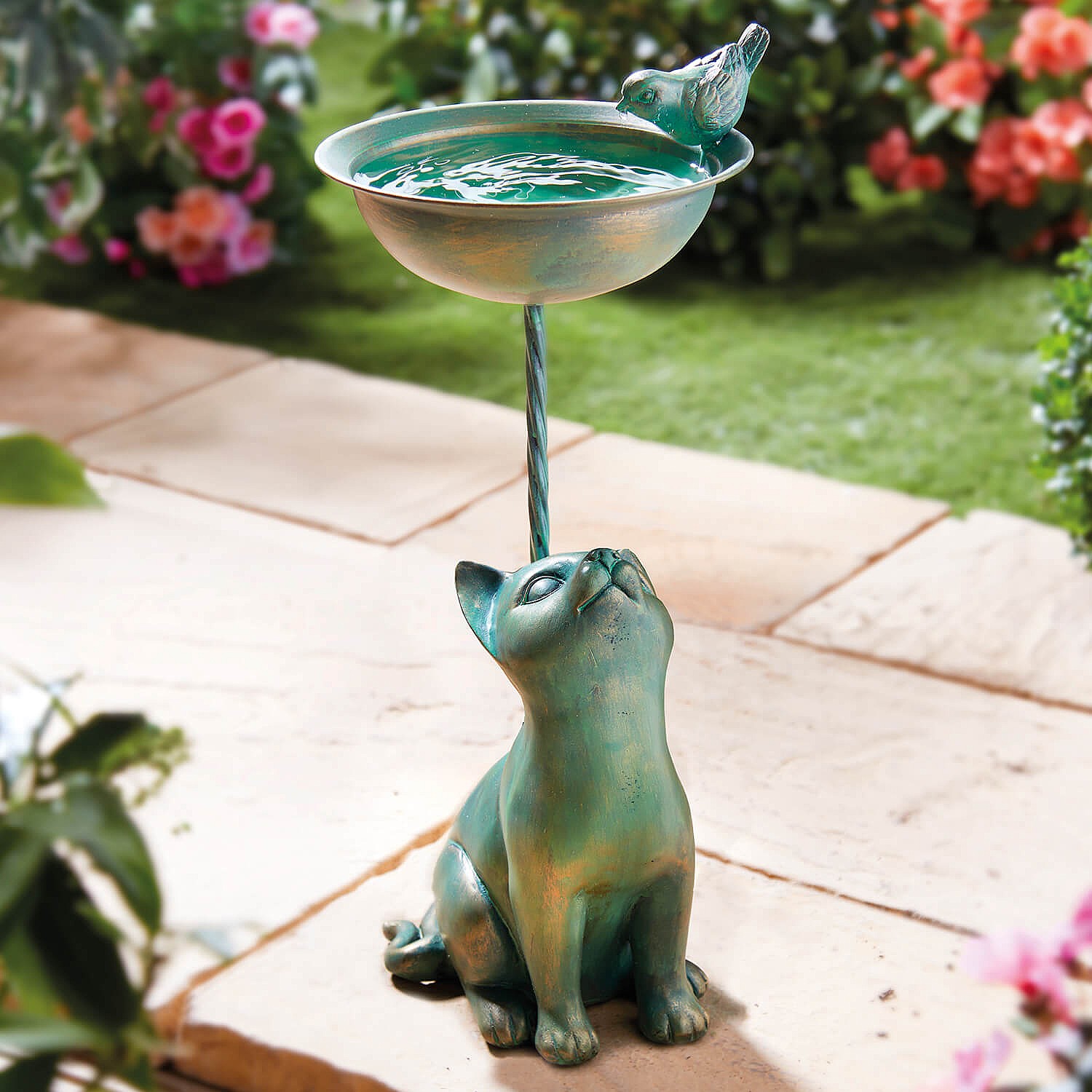 Curious Cat Bird Bath In Stock Now Coopers of Stortford