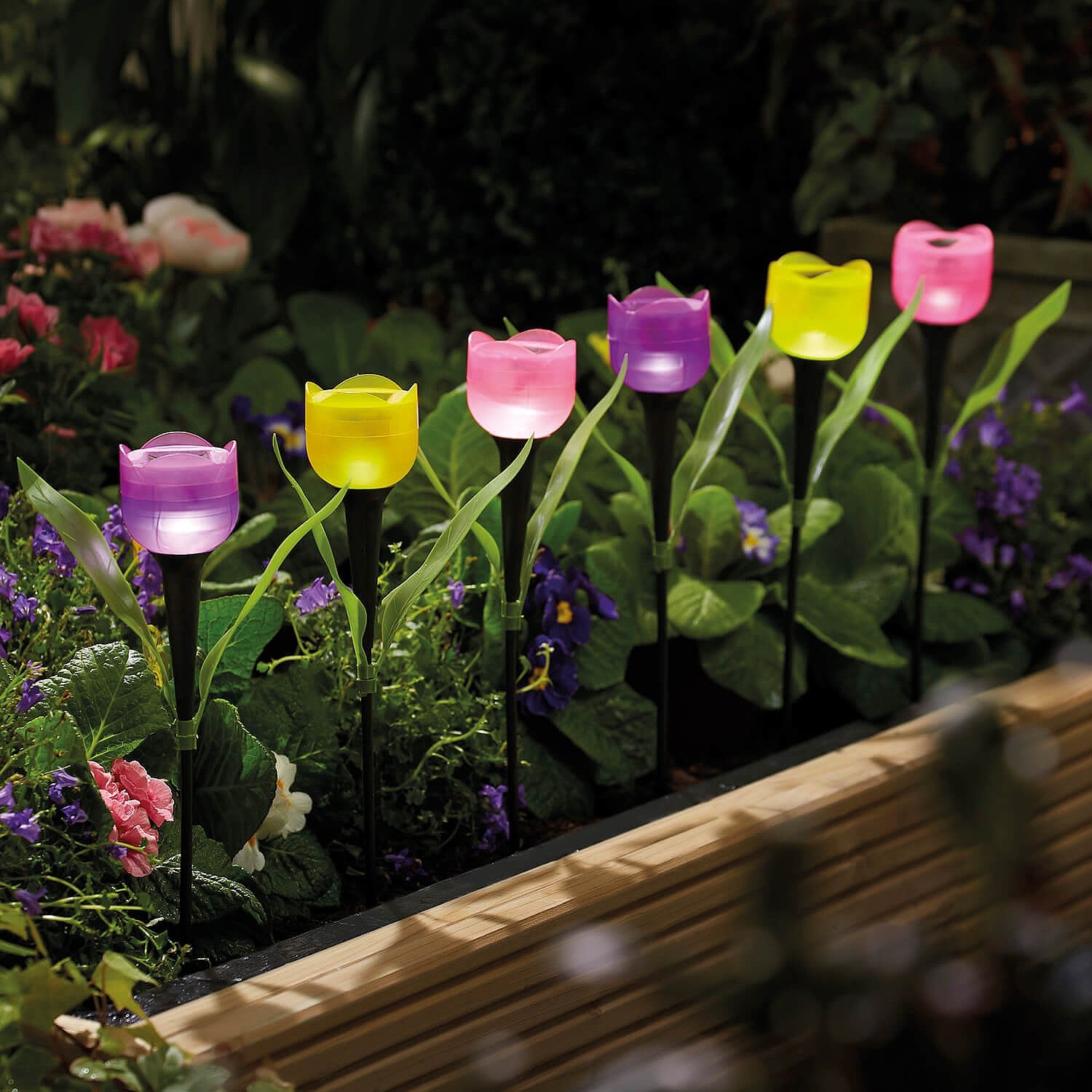 Pack of 6 Tulip Solar Lights In Stock Now By Coopers