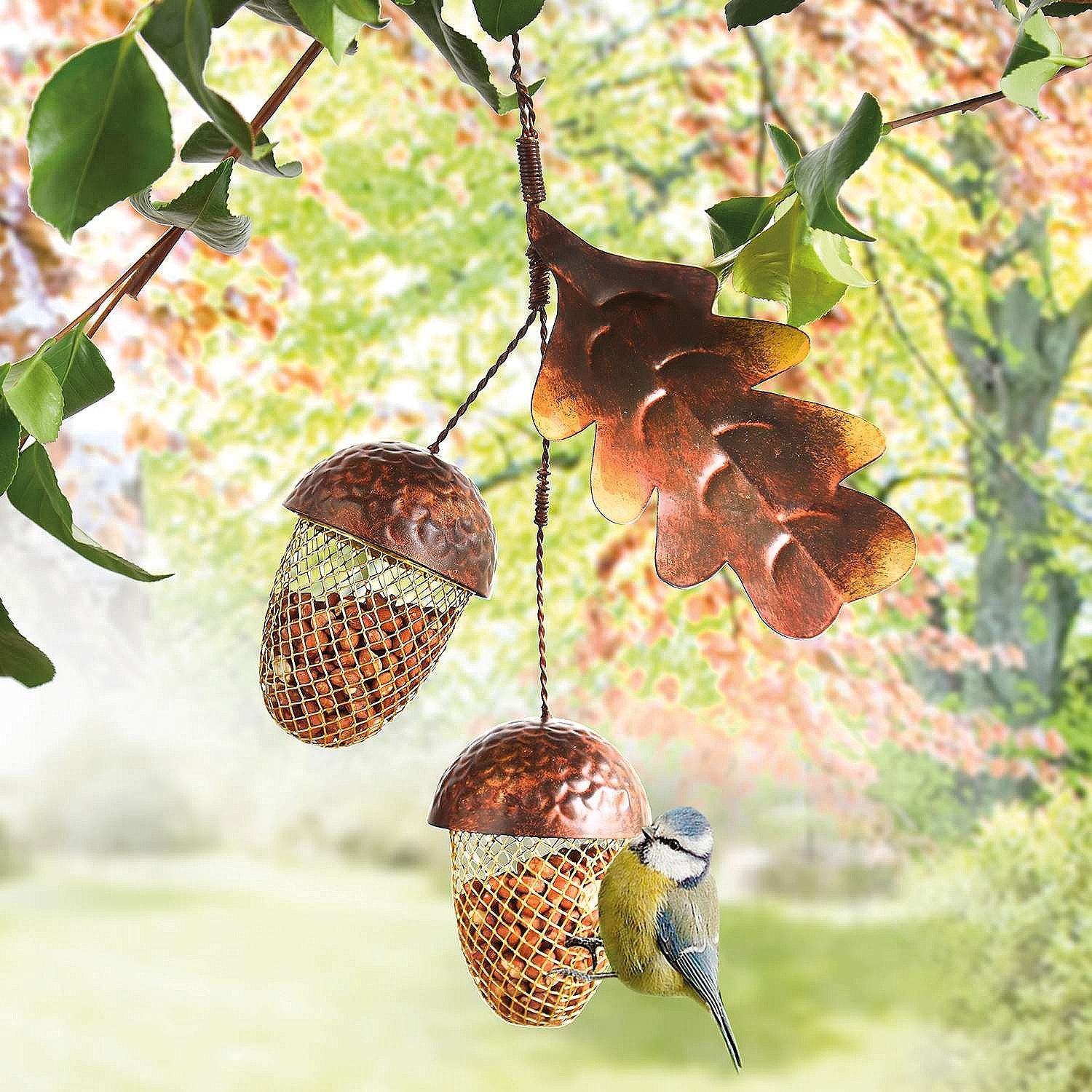 Garden Autumn