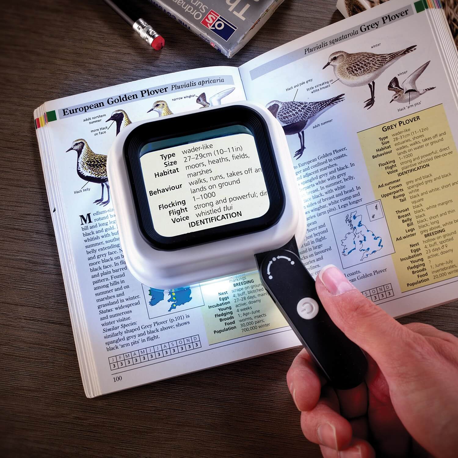 Image of Folding Magnifying Glass L9.7 xW8.7 xD4.5cm