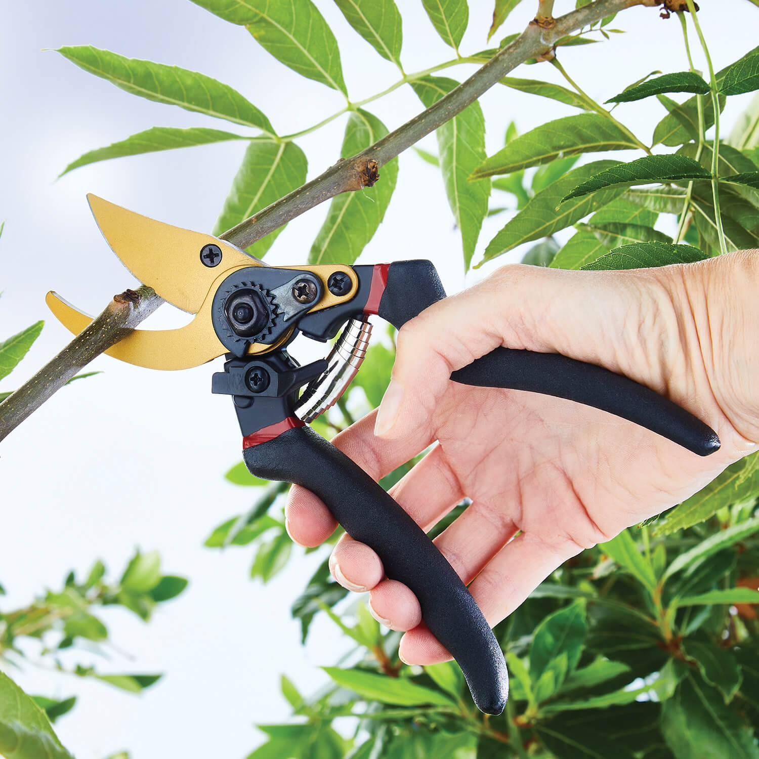Titanium Bypass Pruning Shears