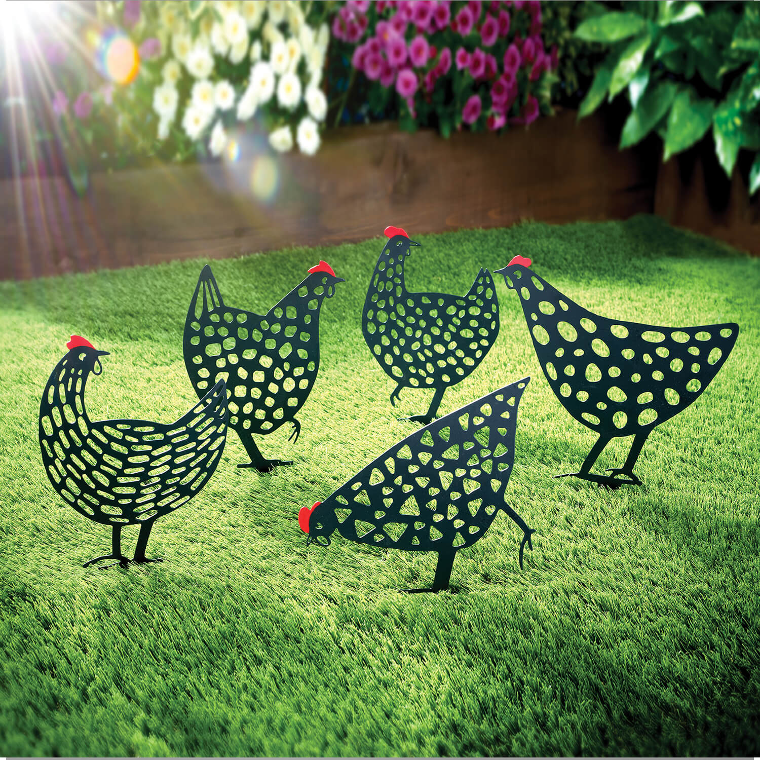Set of 5 Chicken Silhouette Stakes