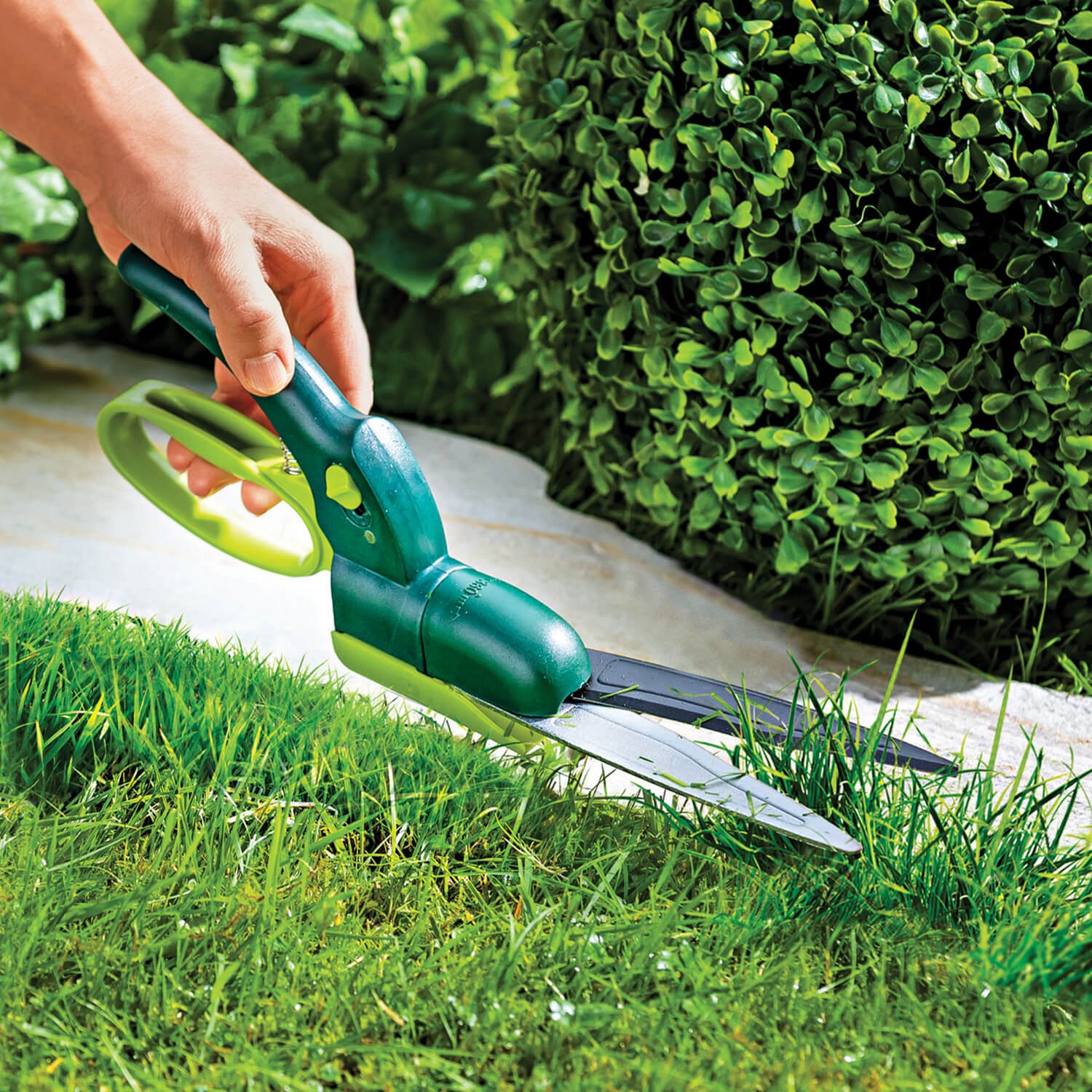 Lawn Edge Shears