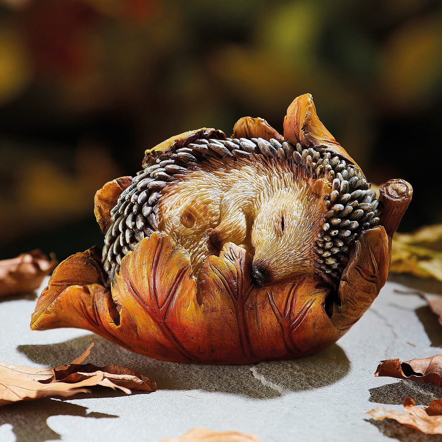 Sleeping Baby Hedgehog in Leaf