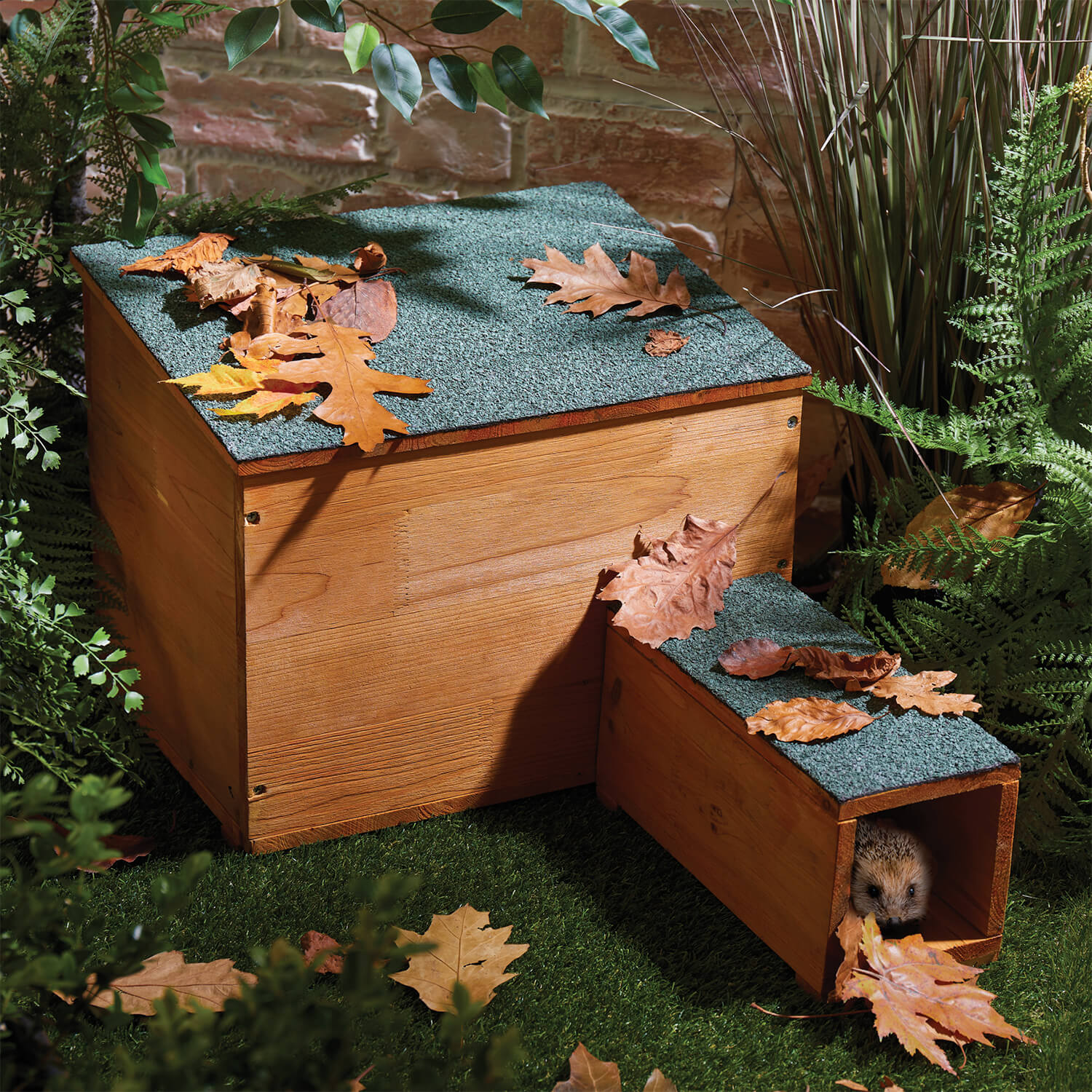 Hedgehog House with Felt Roof