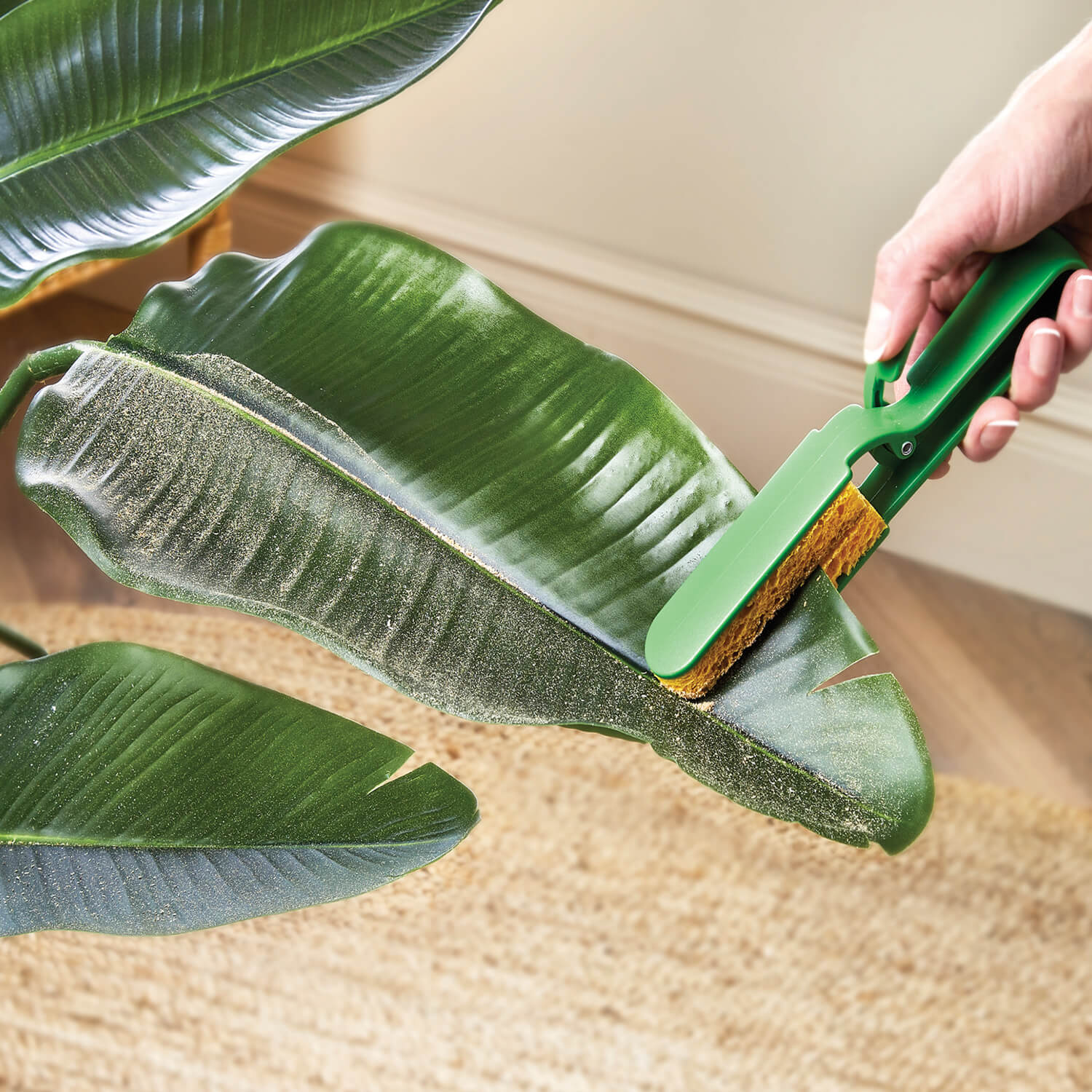 Image of Plant Leaf Cleaner, Size: L21cm, Removes&hellip;