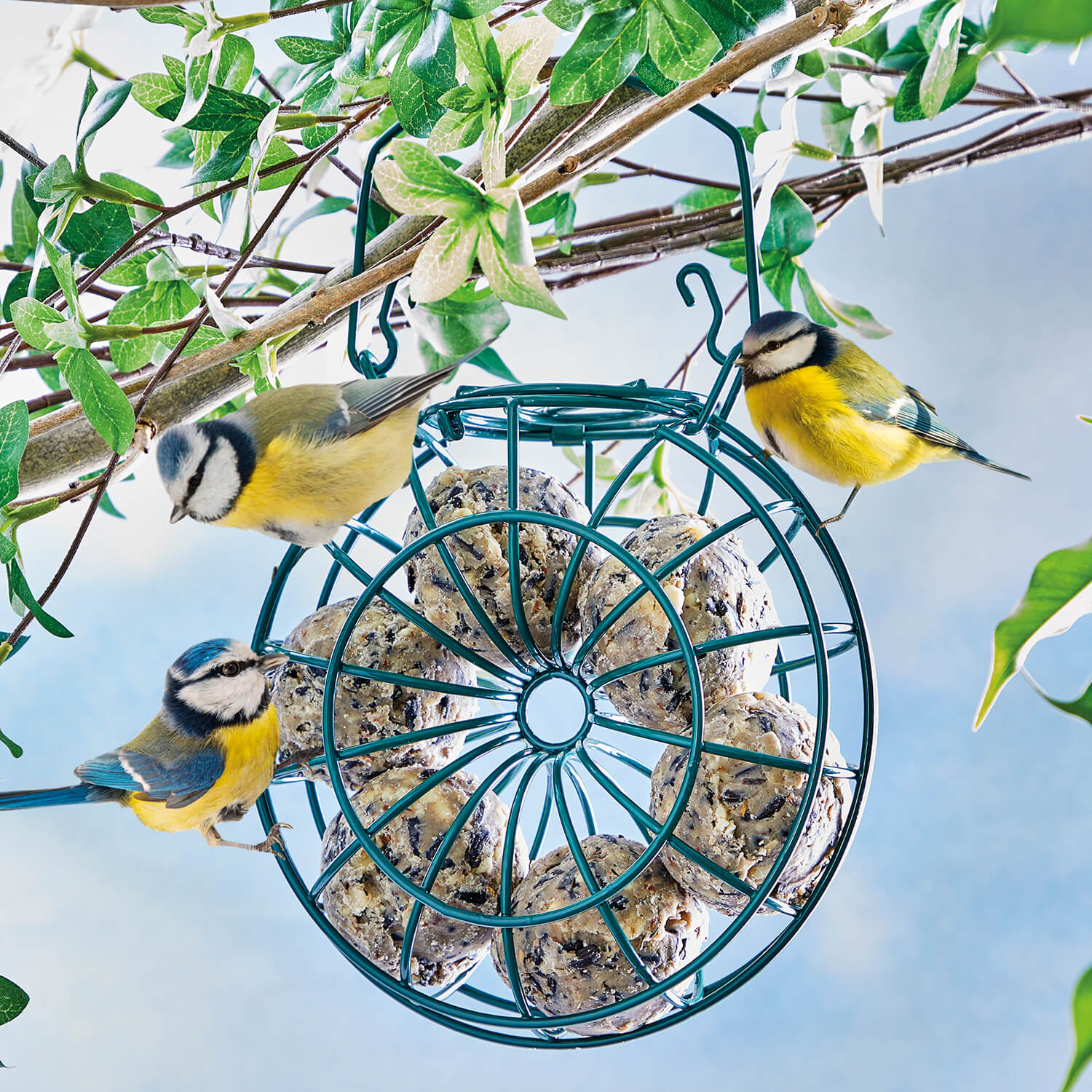 Fatball Bird Feeder