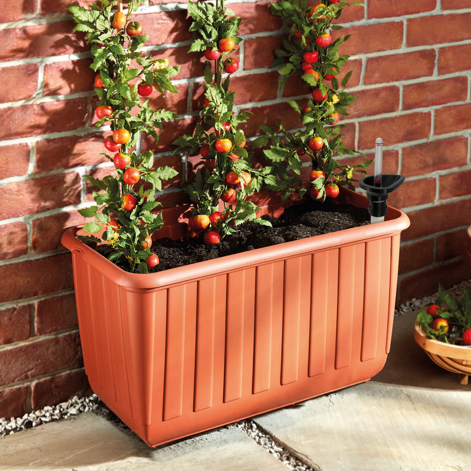 Wheeled Tomato Planter