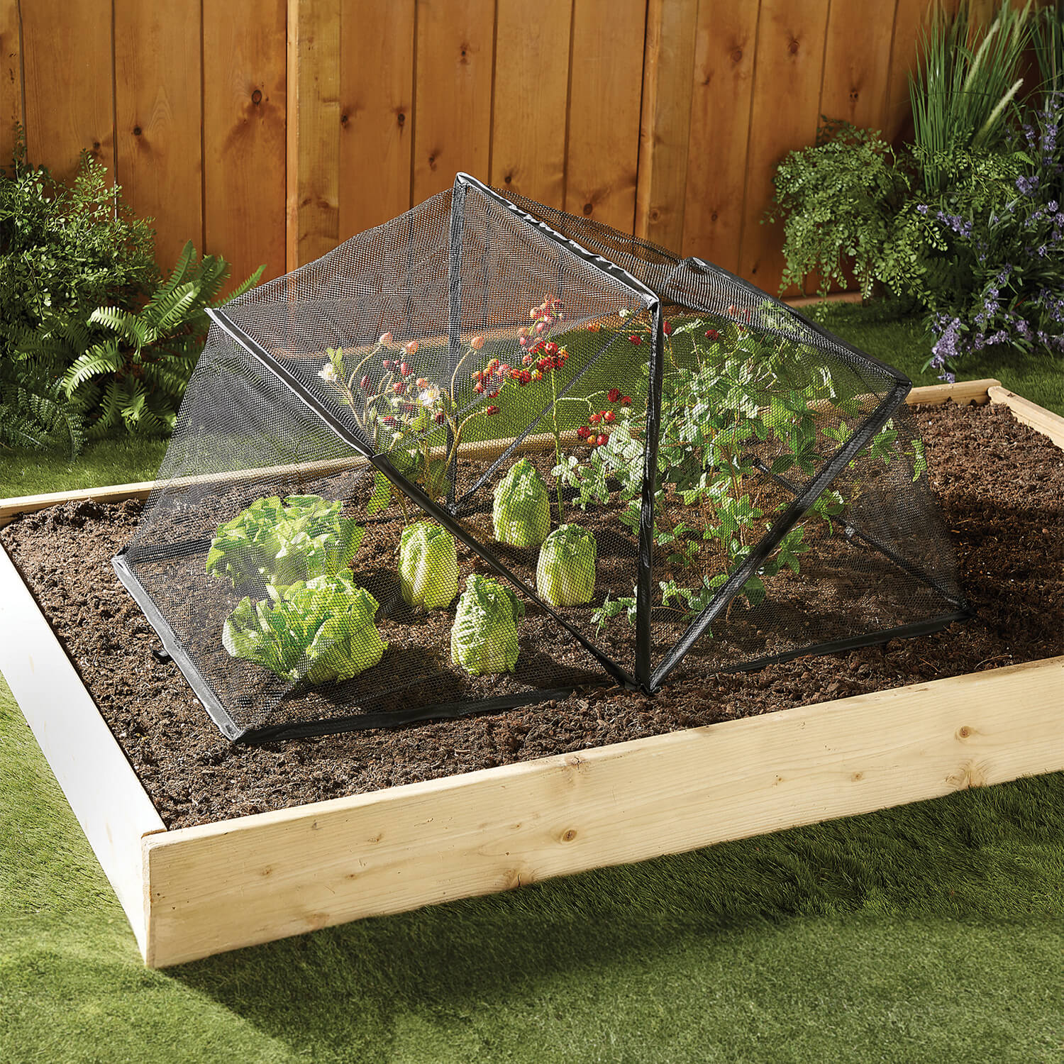 Folding Crop Cage