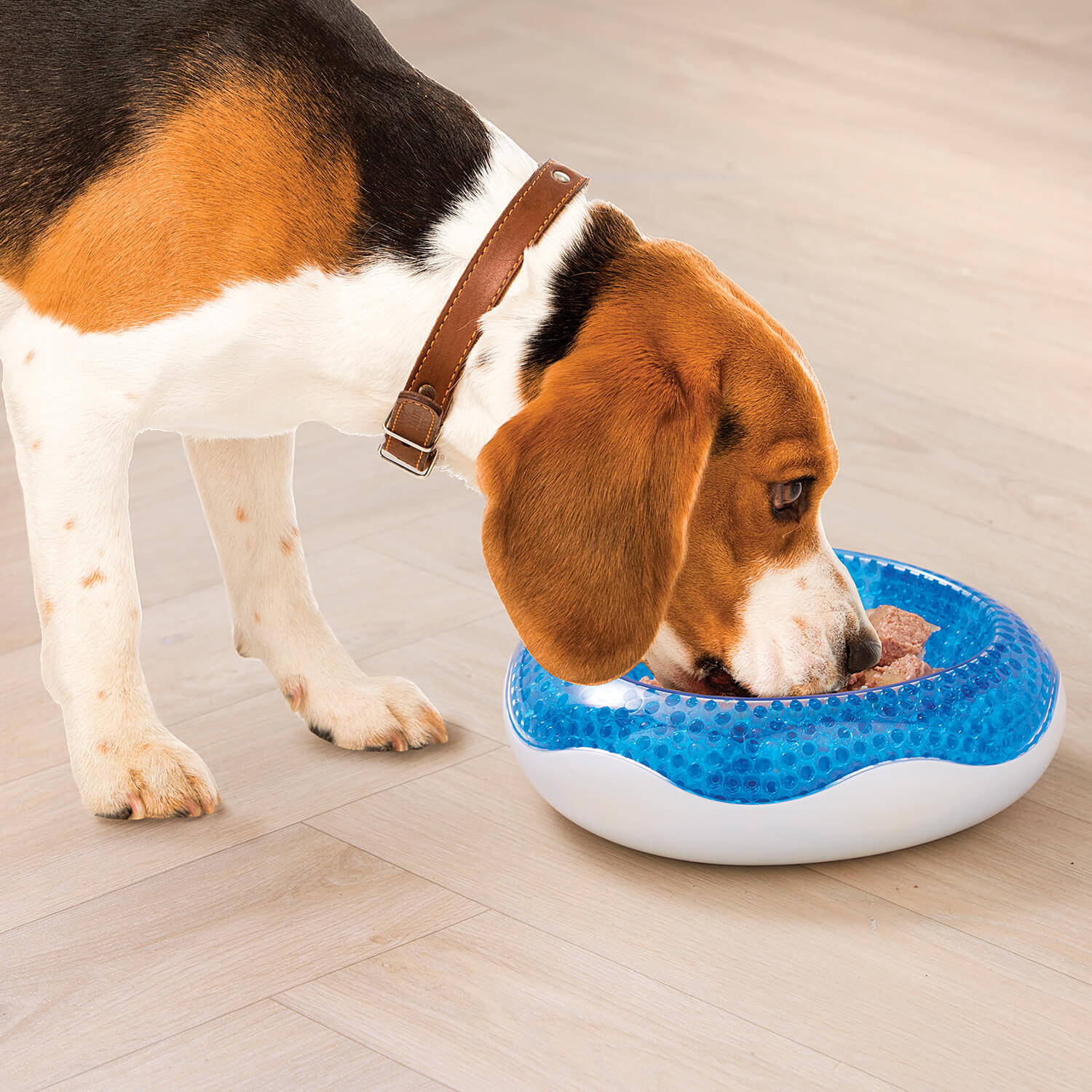Image of Cooling Dog Bowl H21 xW21 xD7.5cm,&hellip;