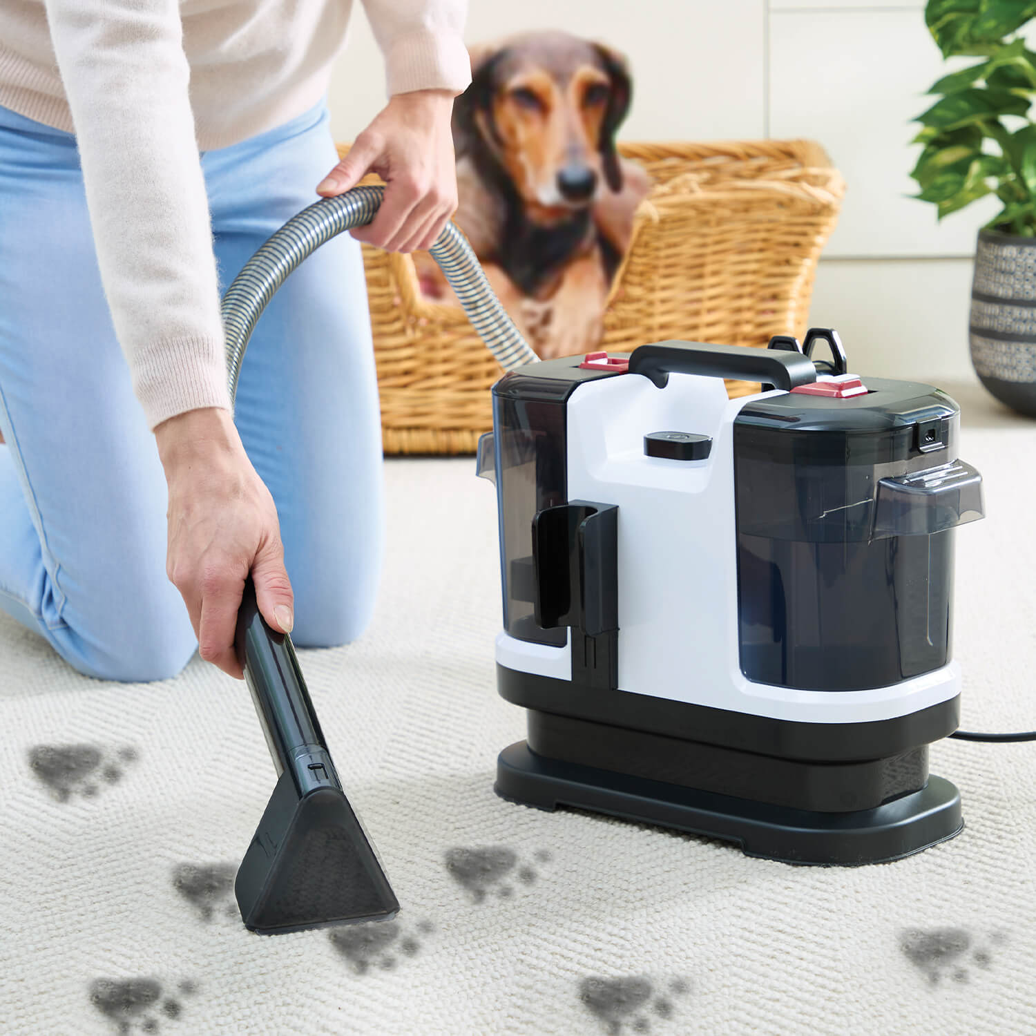 Image of Spot Cleaner