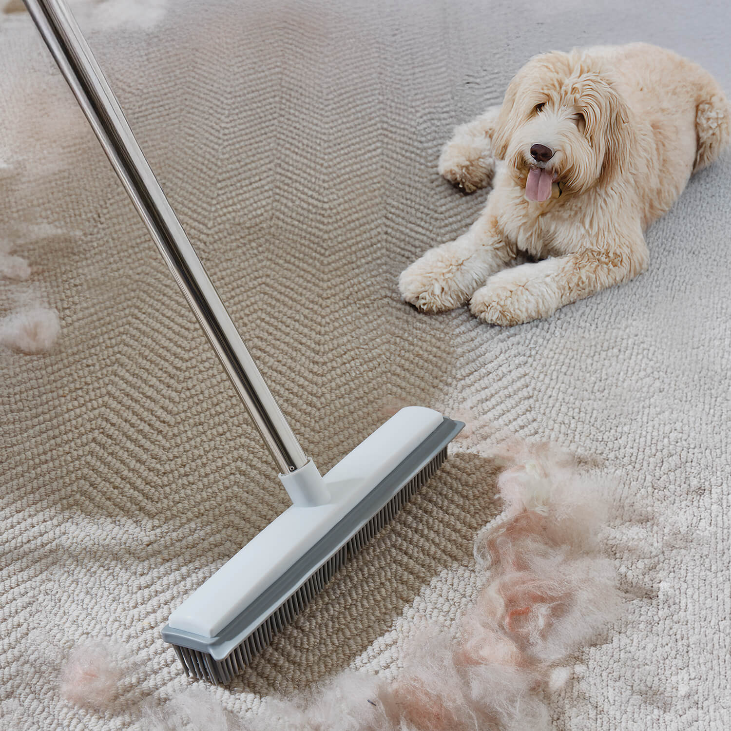 Image of 2-in-1 Pet Hair Broom