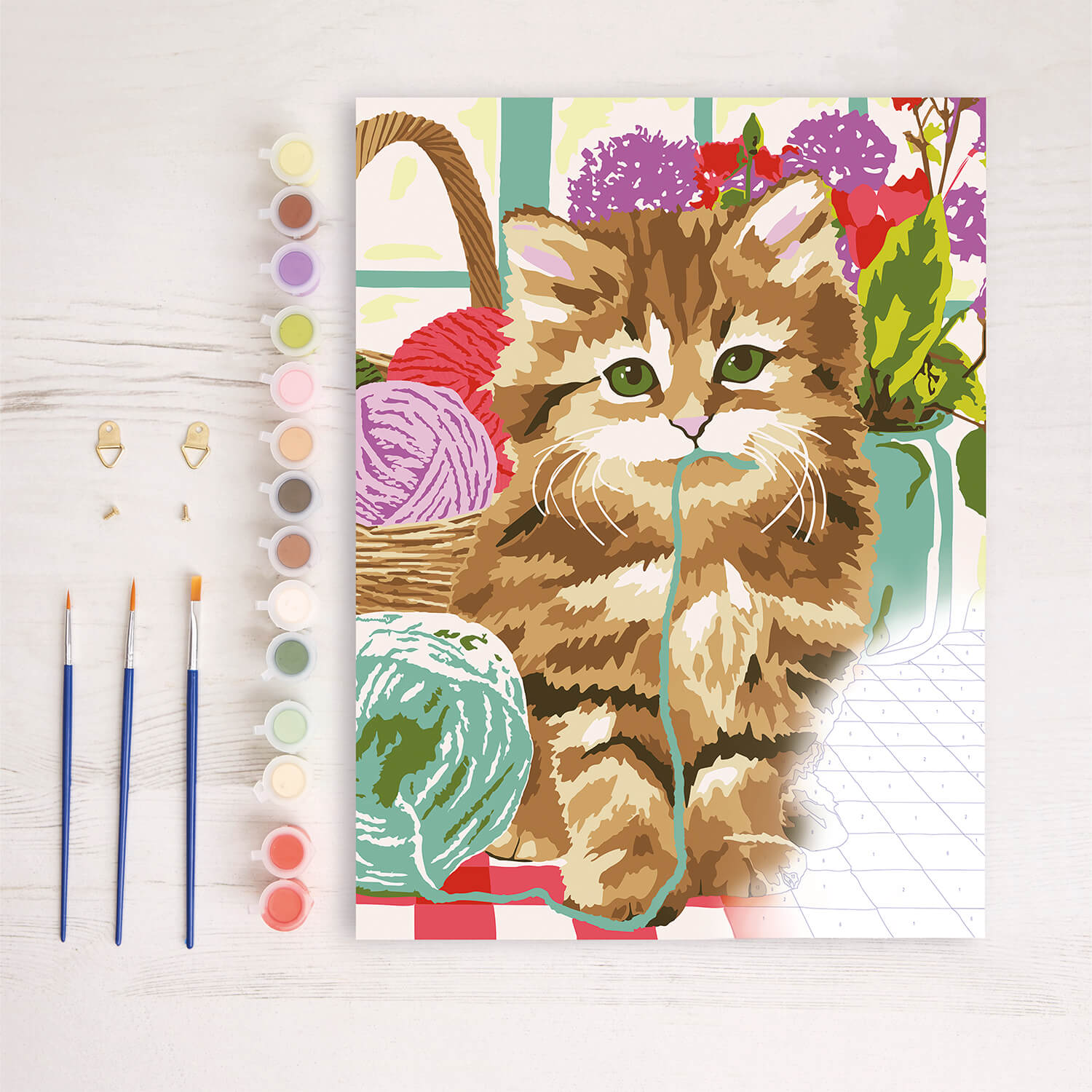 Image of Paint By Numbers Cat