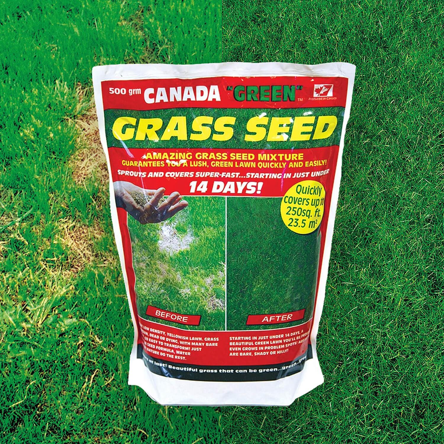 500g Perfect Grass Canada Green Grass Seed