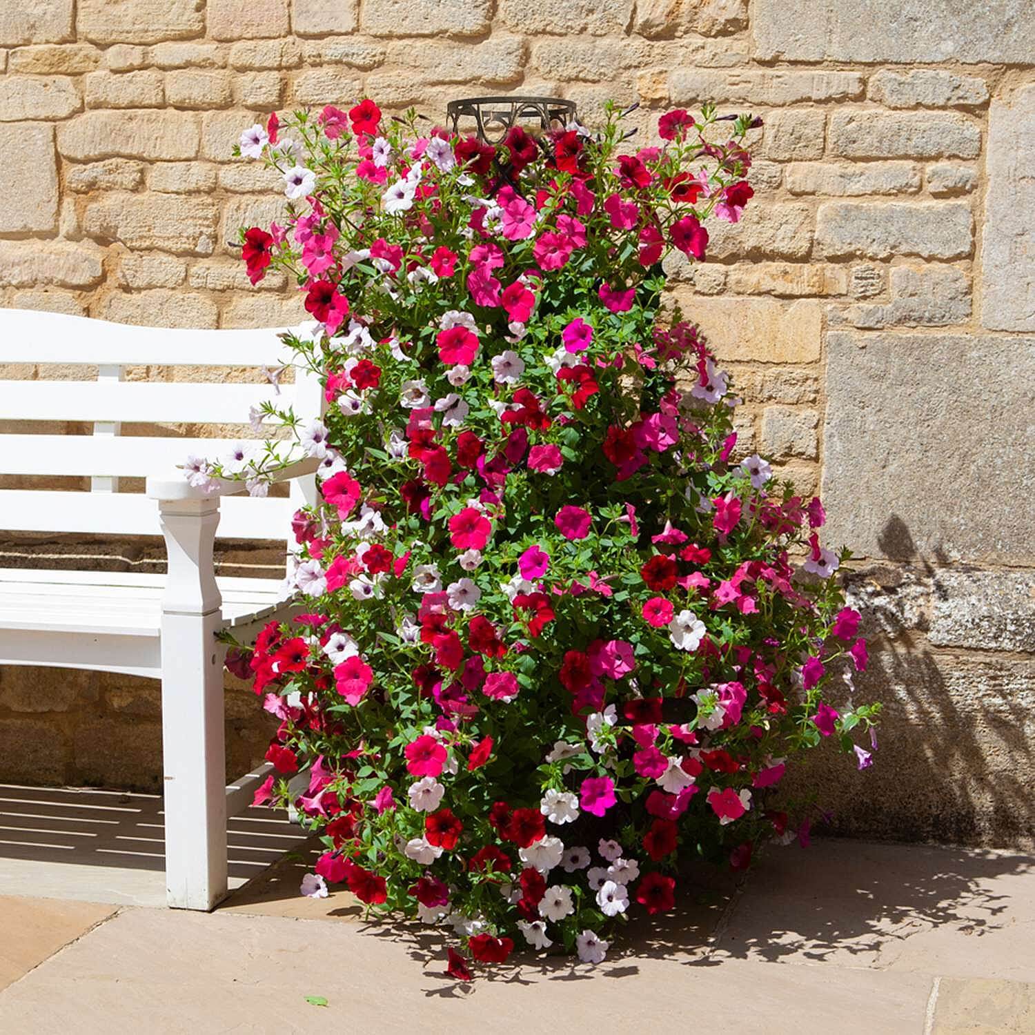 Tower Pot and Frame