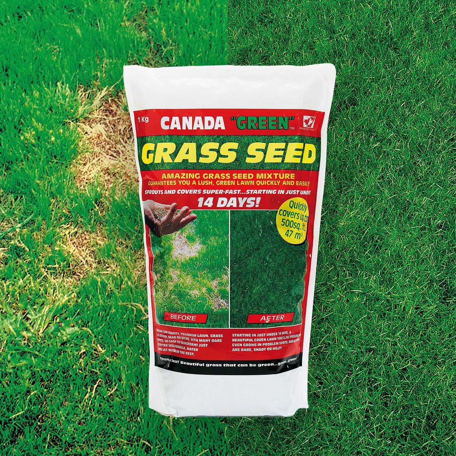 1kg Canada Green Grass Seed