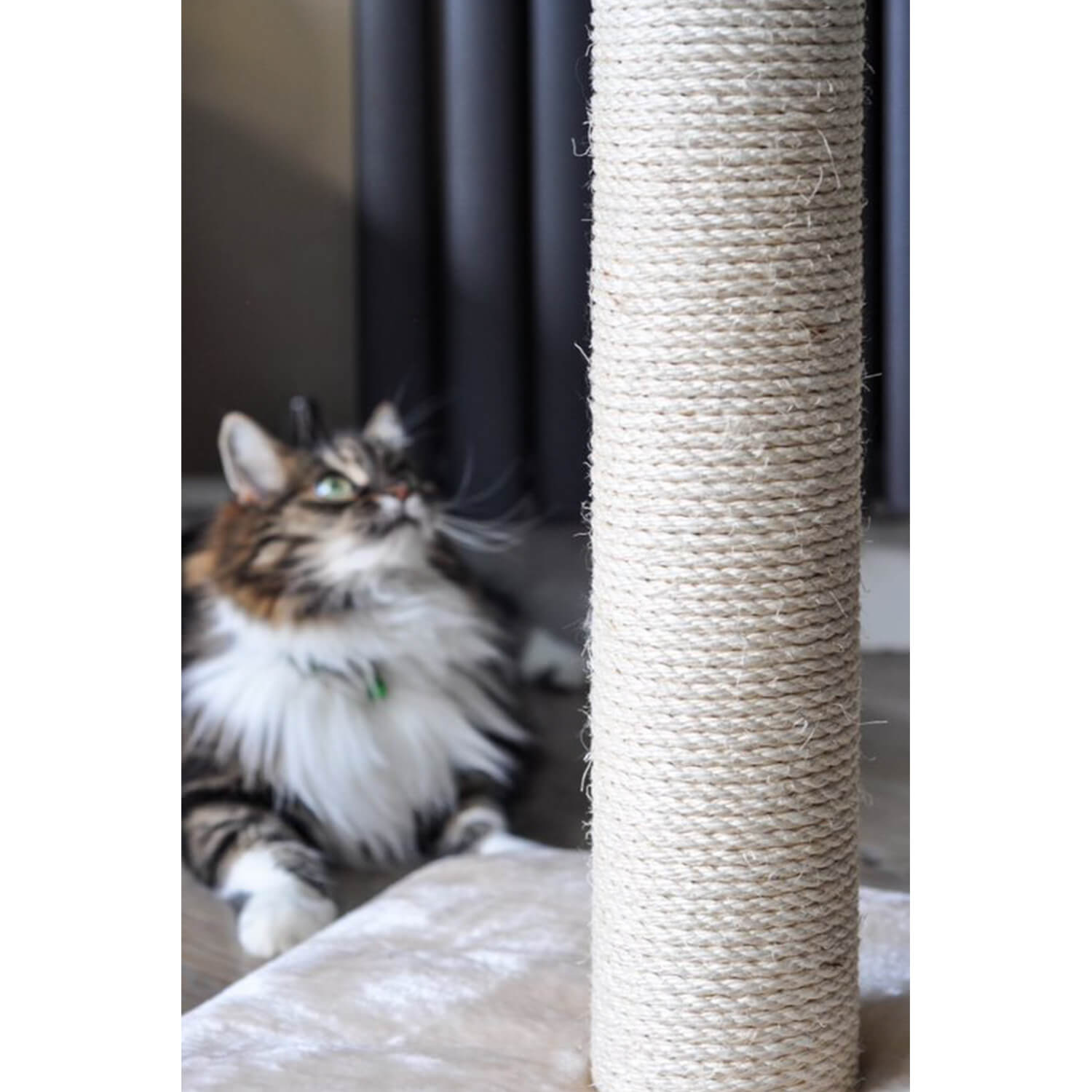 Image of Deluxe 0.5M Scratch Post