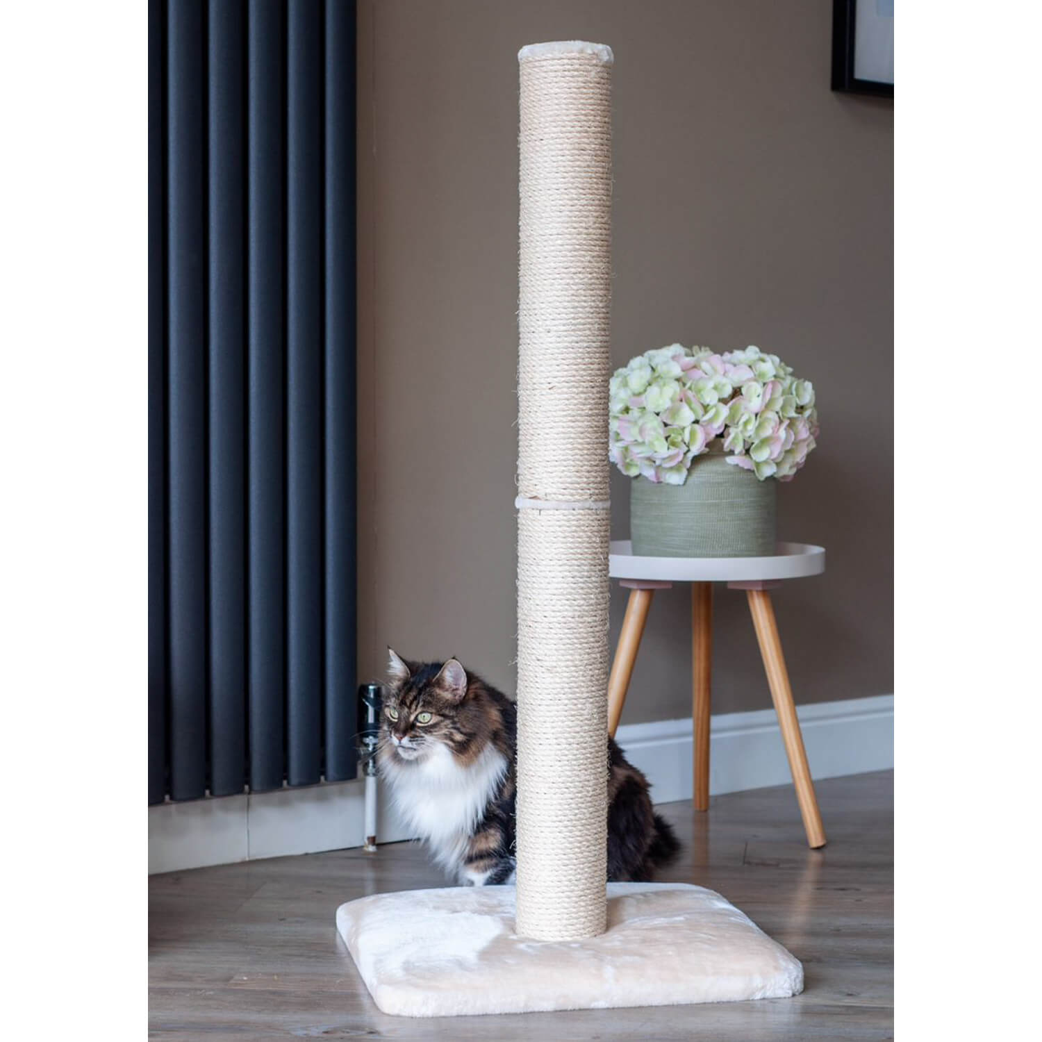 Image of Deluxe 1M Scratch Post