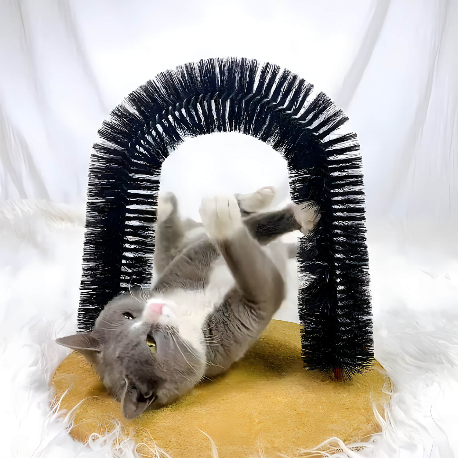 Image of Perfect Cat Scratcher
