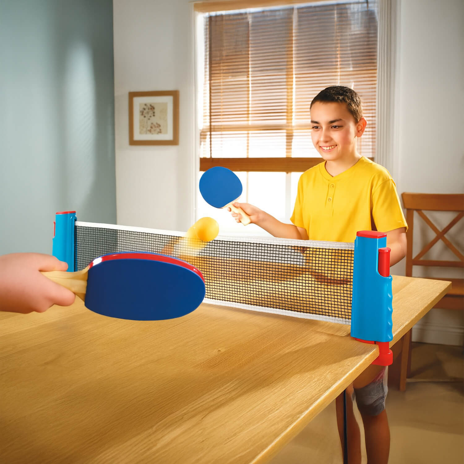 Image of Portable Table Tennis Set