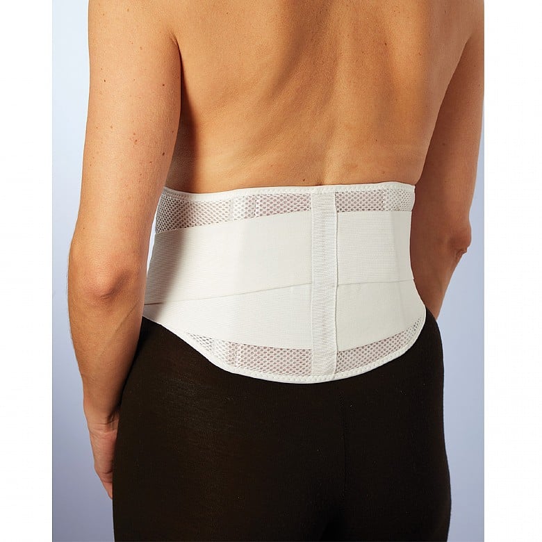 Adjustable Back Support