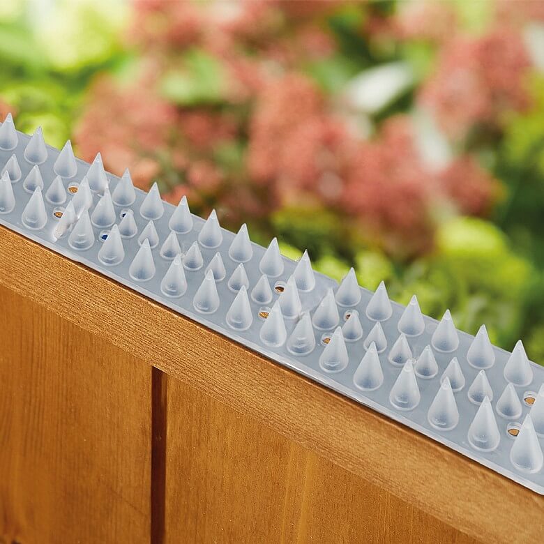 Cat fence spikes clearance