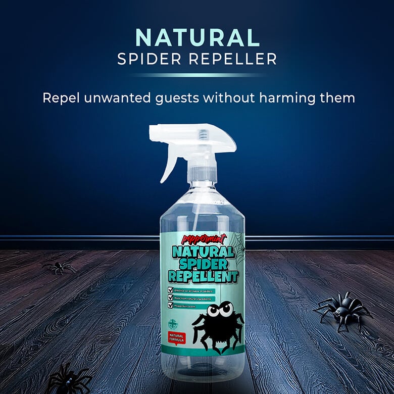 トップス endlessmade spider Peppermint Spider Repeller | Multibuy | Coopers of Stortford