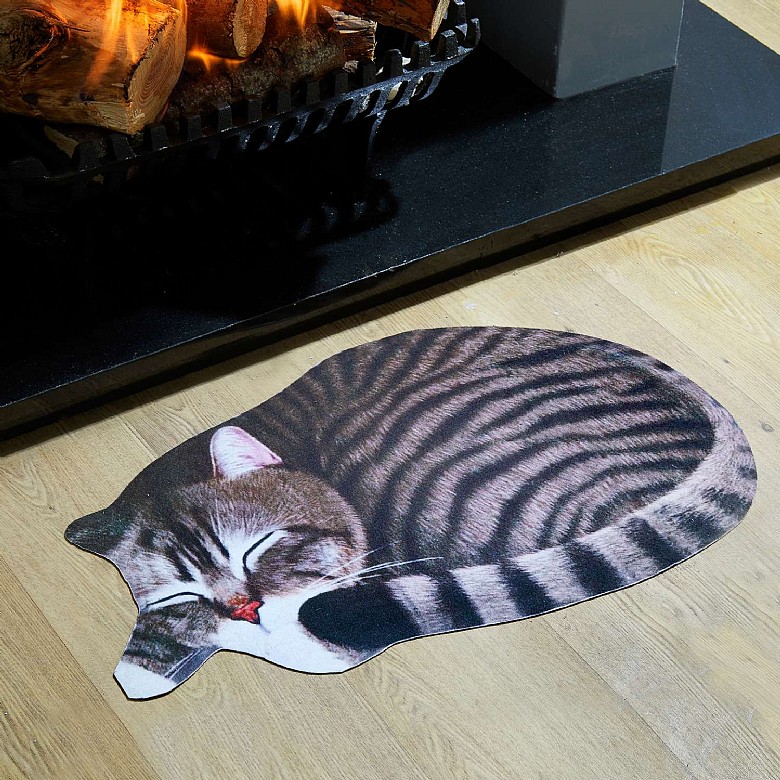 cat flap mat
