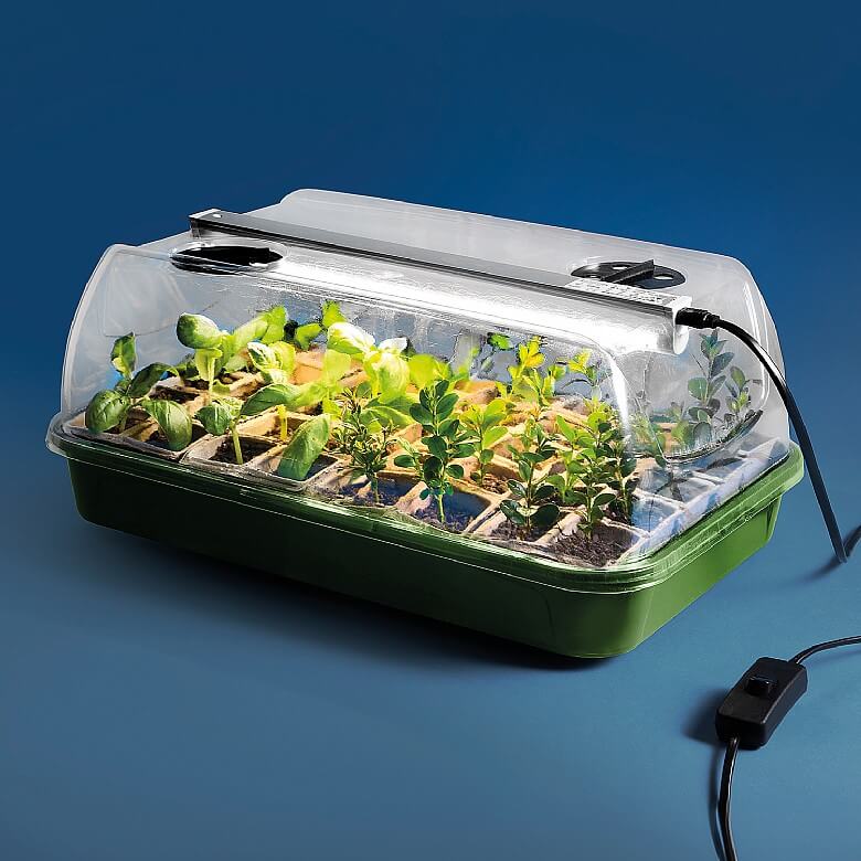 40 Cell LED Propagator Coopers Of Stortford