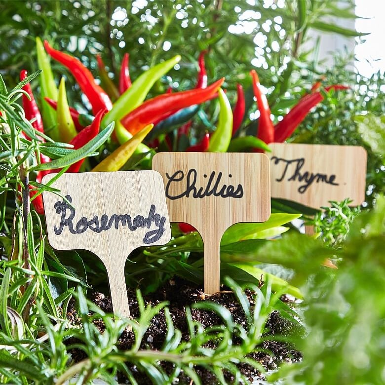 Pack of 50 Wooden Plant Markers with Pen