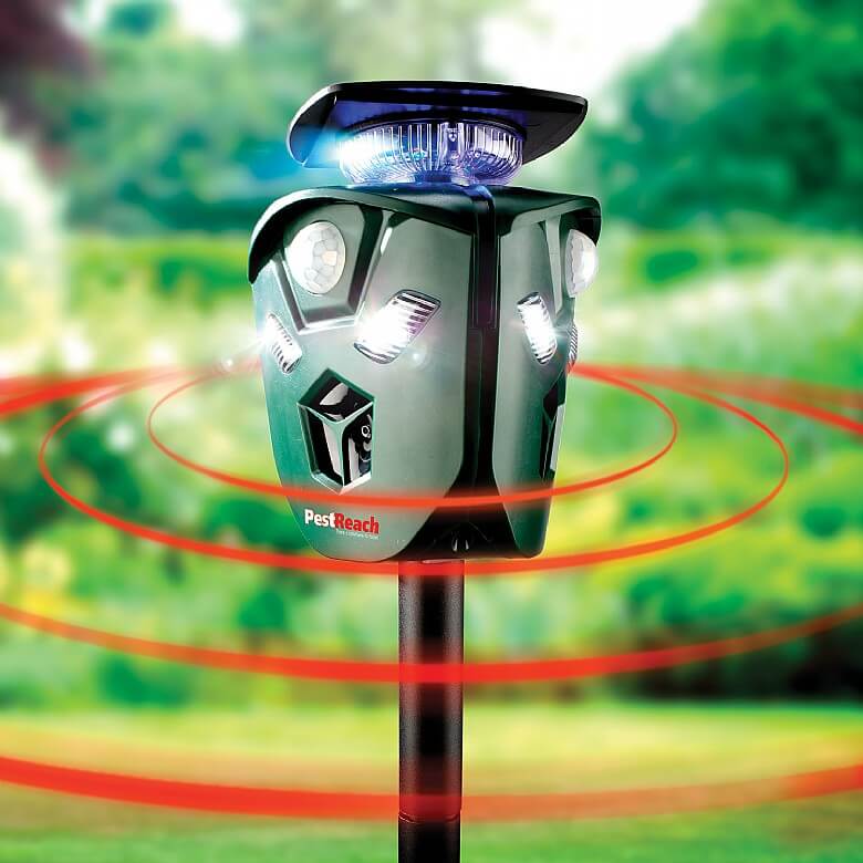 360° Solar Animal Repeller | Pest Control | Coopers Of Stortford 360° Solar Animal Repeller | Pest Control | Coopers Of Stortford