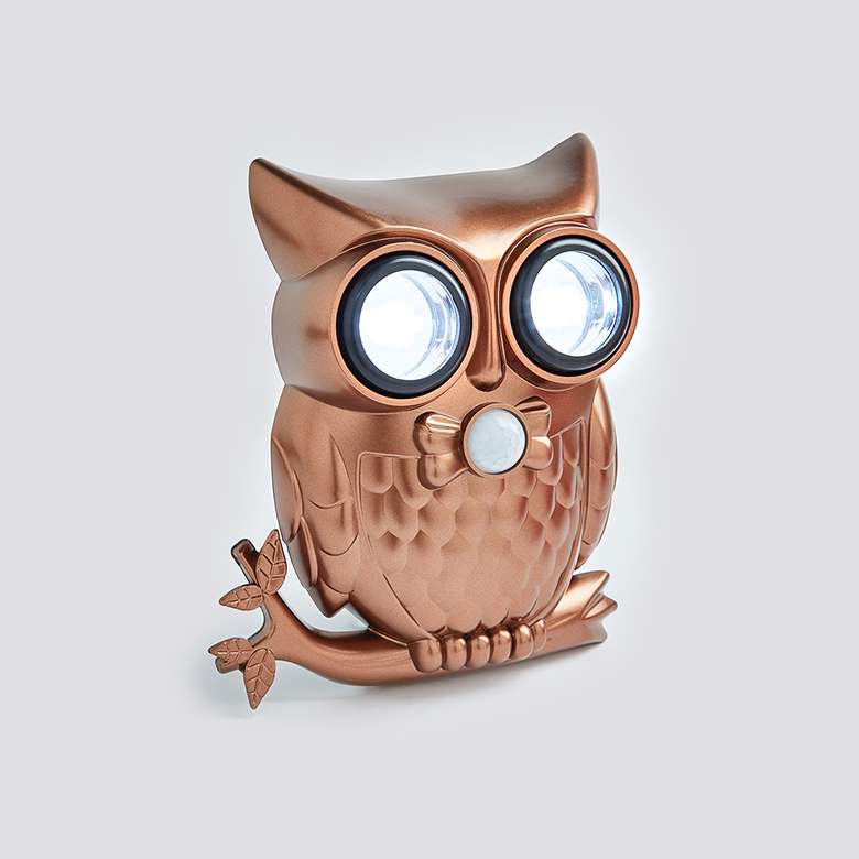 Owl motion store sensor light