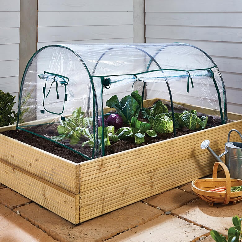 Tunnel Grow House | Coopers Of Stortford