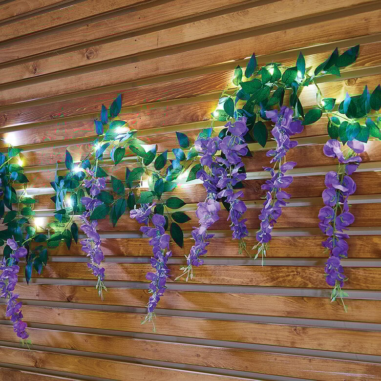 Wisteria solar lights store