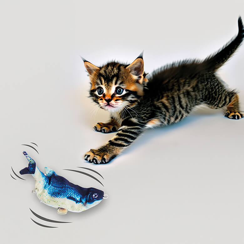 Cat chasing fish online