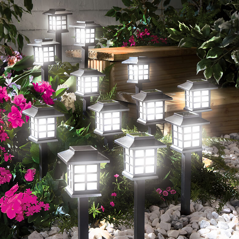 Coopers Solar Lights