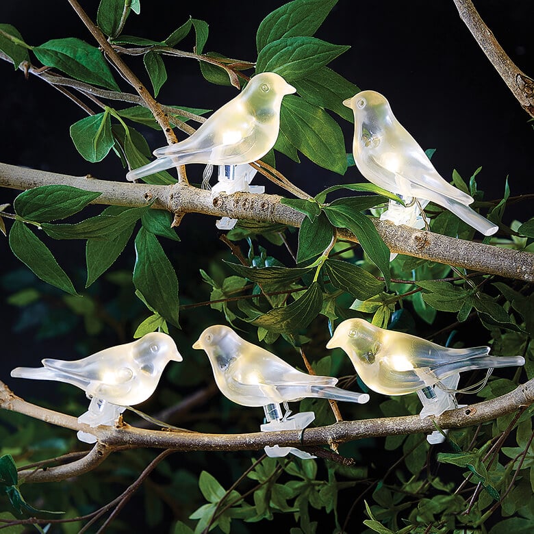 Solar powered bird lights sales