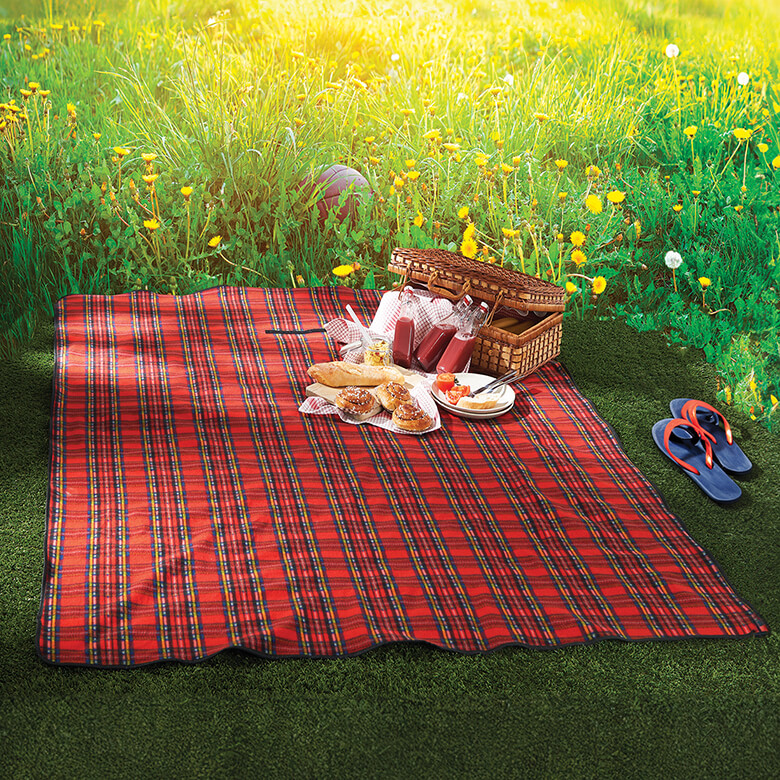 Picnic Fun Blanket Tracing For Young Learners