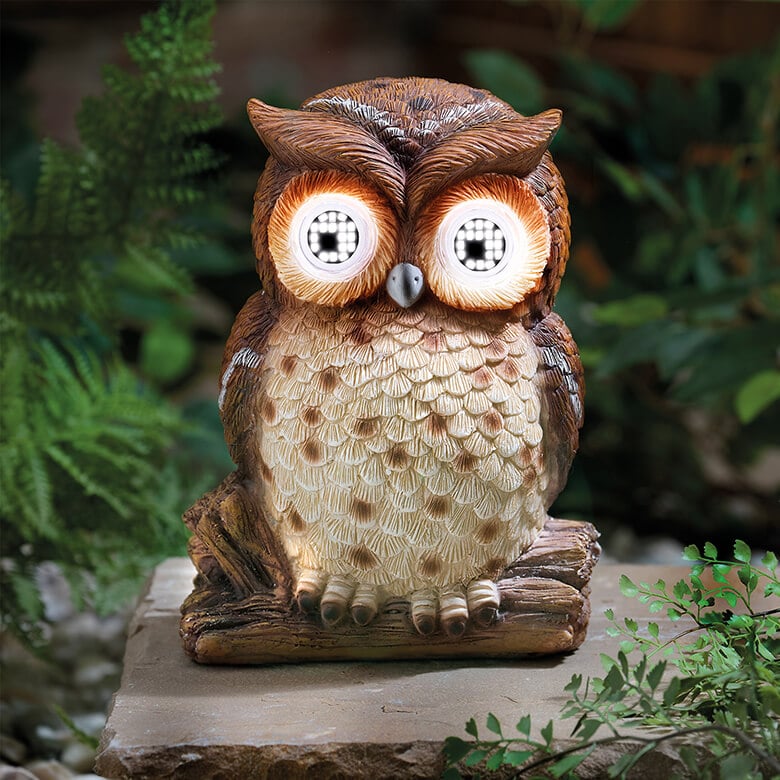 Solar Blinking Owl | Coopers Of Stortford