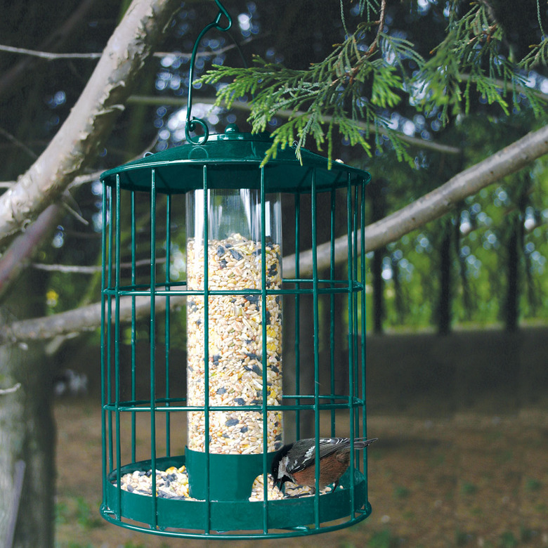 Squirrel proof feeder deals
