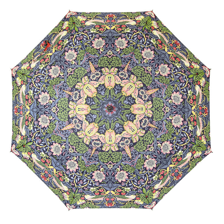 RainCaper Auto Open/Close Travel Umbrella - 43" Windproof, Van Gogh Almond Blossom Art, With Sleeve - View #3