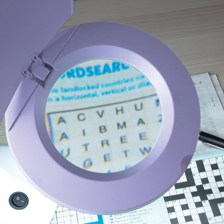 Eagle Desktop LED Twin Arm Illuminated Magnifier With 4