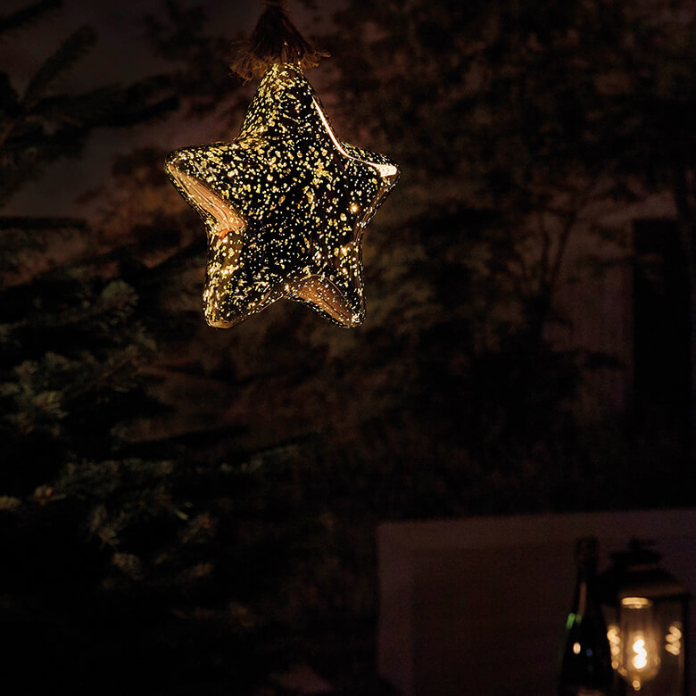 Star led on sale rope lights